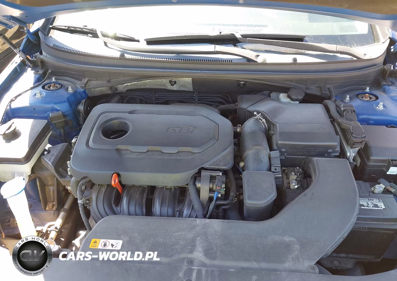 2016 Hyundai Sonata Se VIN:5NPE24AF1GH407784 - 10