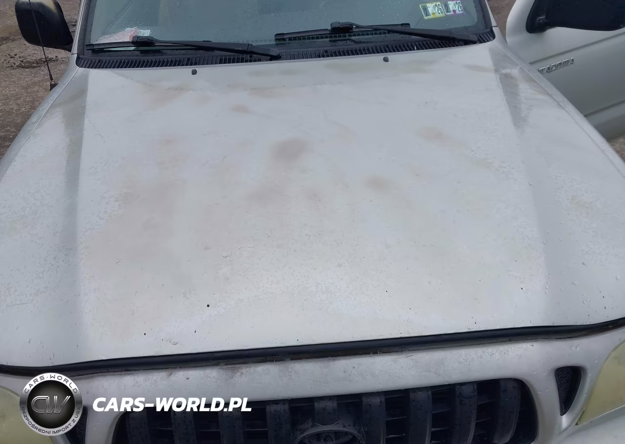 2004 Toyota Tacoma Prerunner VIN:5TESN92N04Z332730 - 10