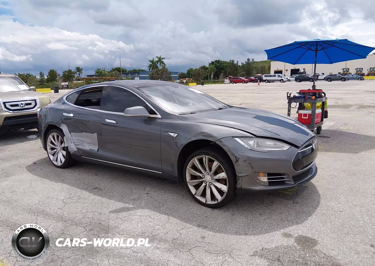 2013 Tesla Model S Performance VIN:5YJSA1DP2DFP05327 - 1