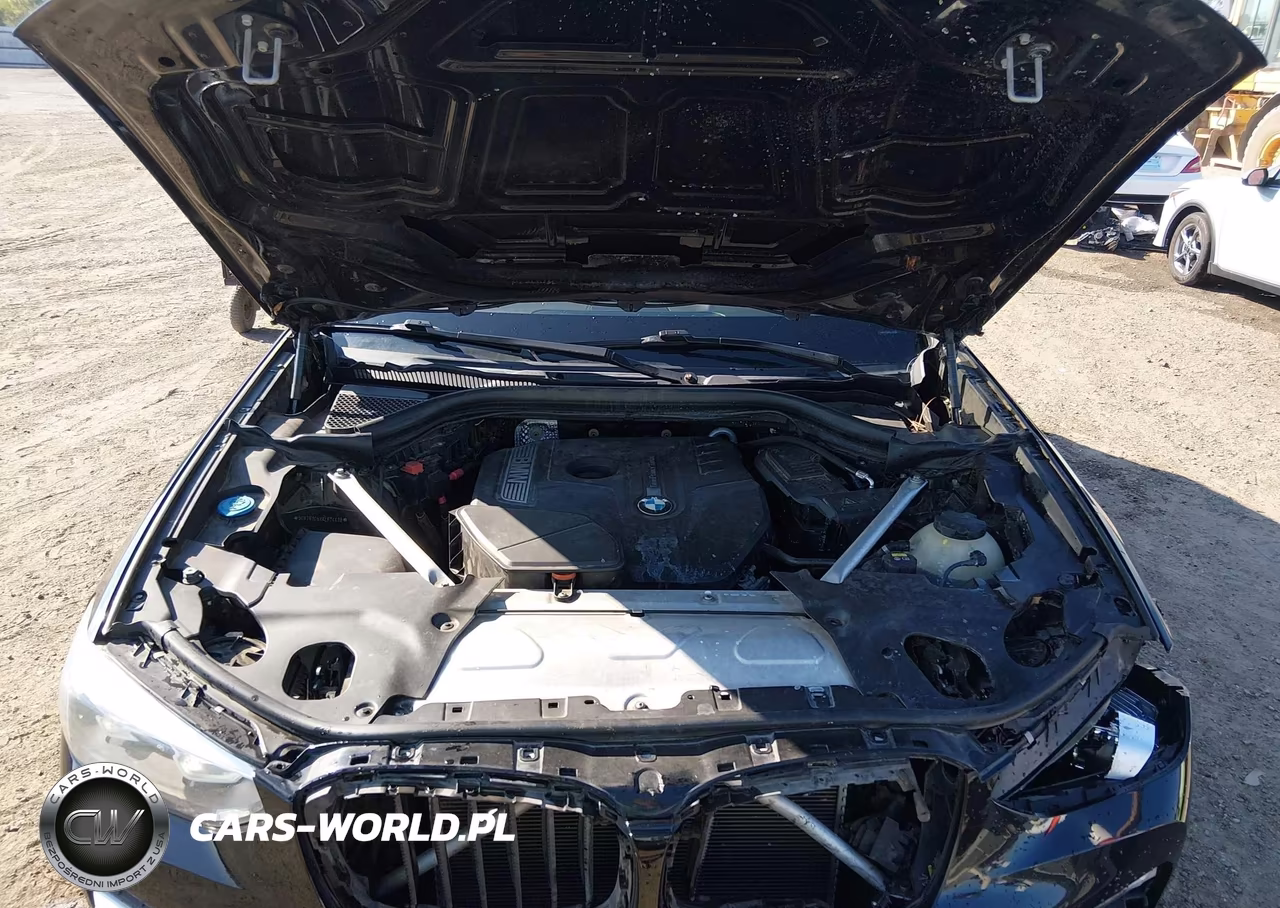 2019 BMW X3 Sdrive30I VIN:5UXTR7C5XKLF24438 - 10
