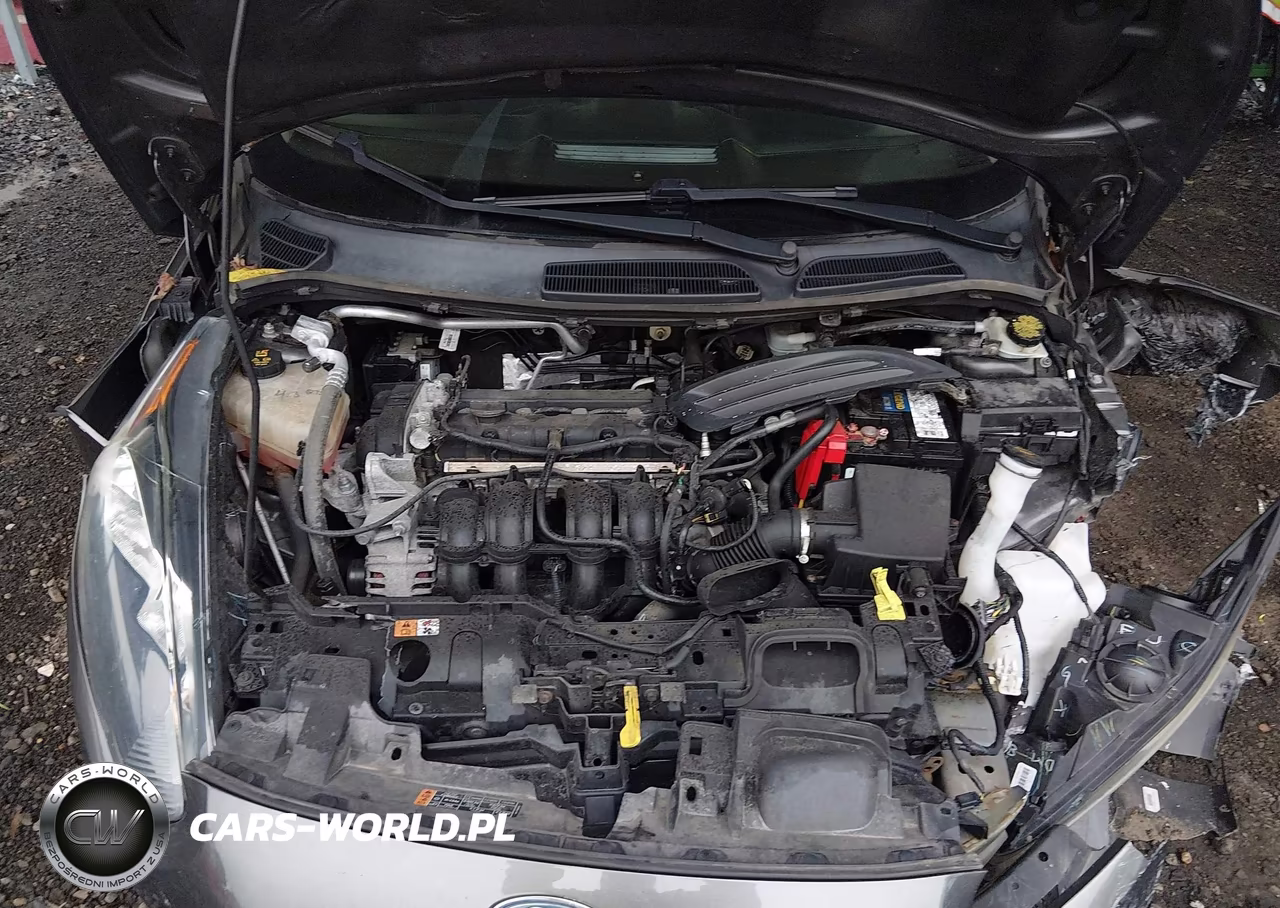 2017 Ford Fiesta Se VIN:3FADP4EJ4HM149550 - 10