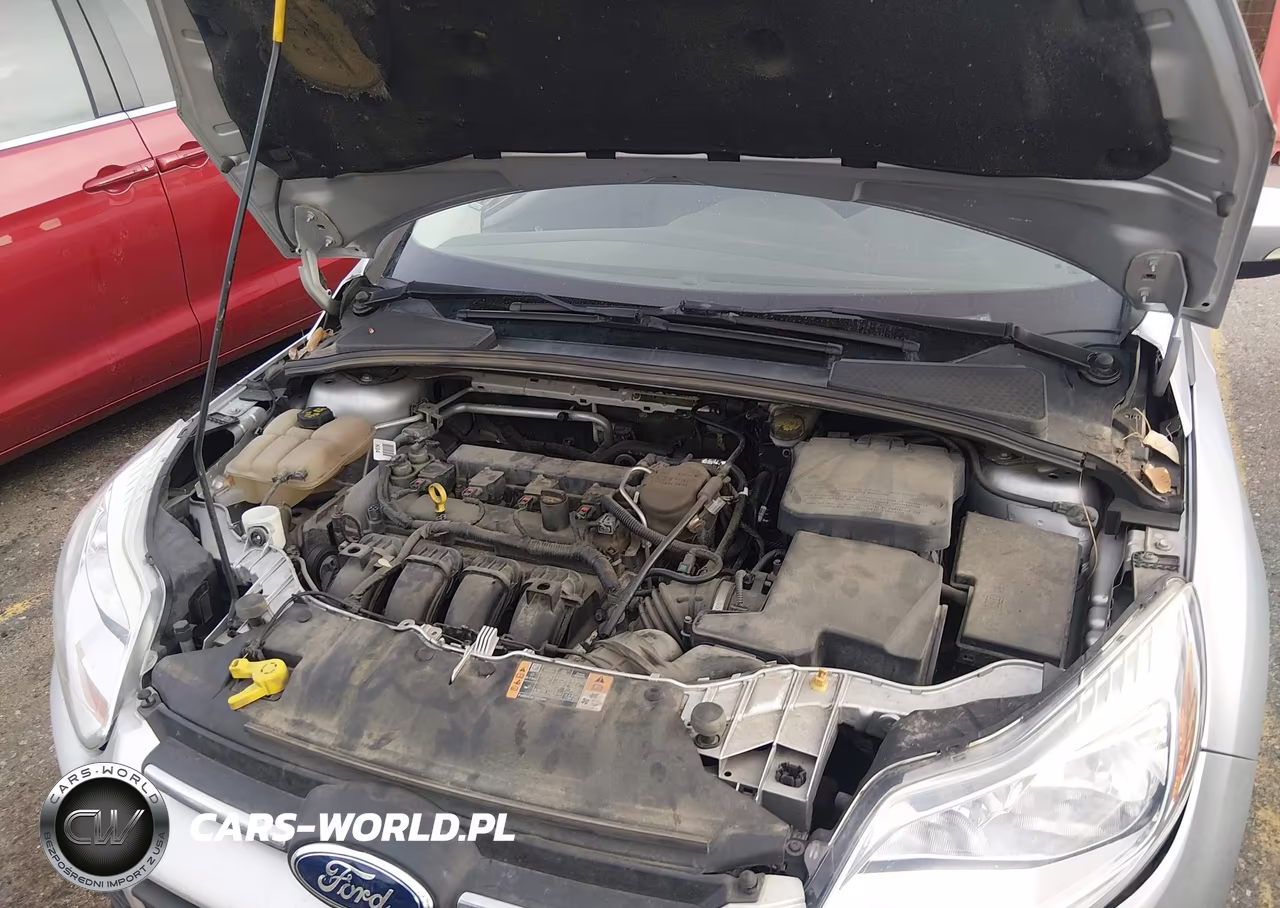 2014 Ford Focus Se VIN:1FADP3F21EL429327 - 10