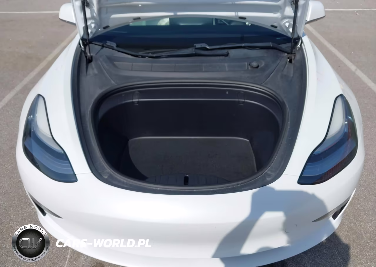 2019 Tesla Model 3 VIN:5YJ3E1EB8KF494448 - 10
