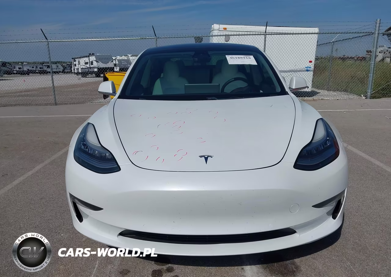 2019 Tesla Model 3 VIN:5YJ3E1EB8KF494448 - 13