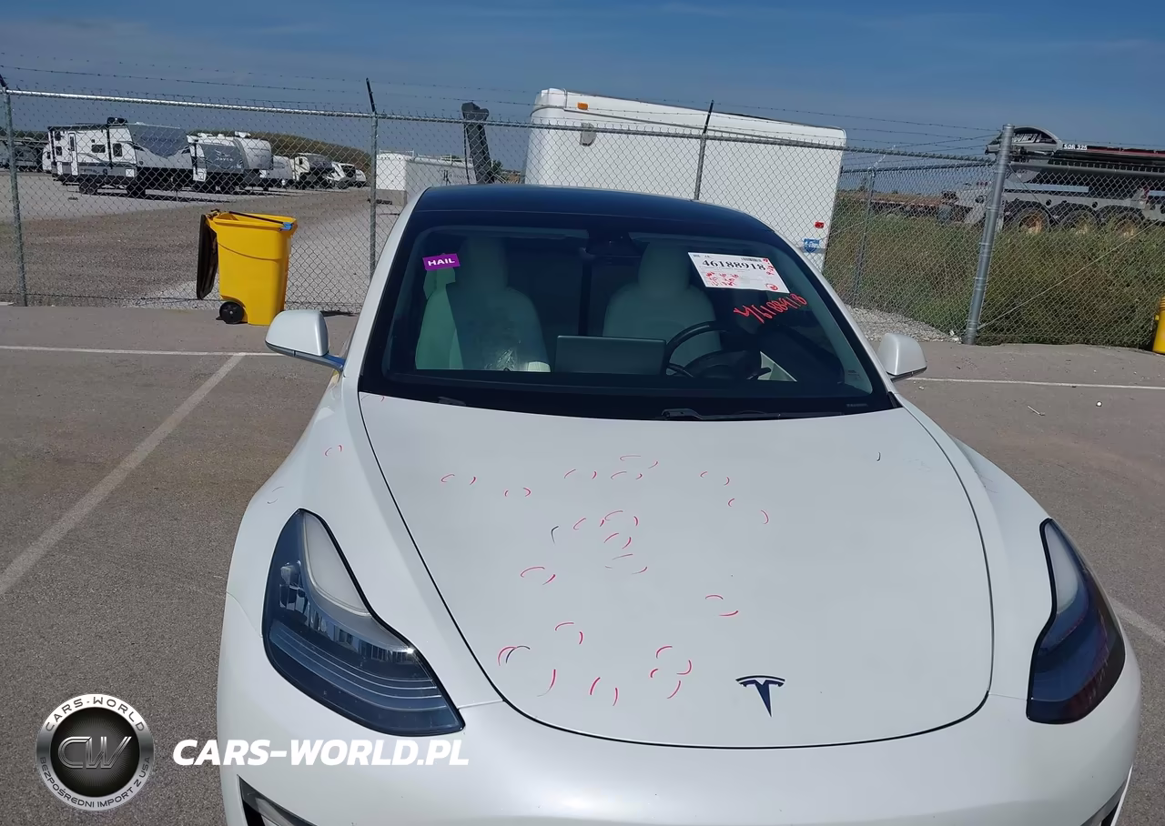 2019 Tesla Model 3 VIN:5YJ3E1EB8KF494448 - 20