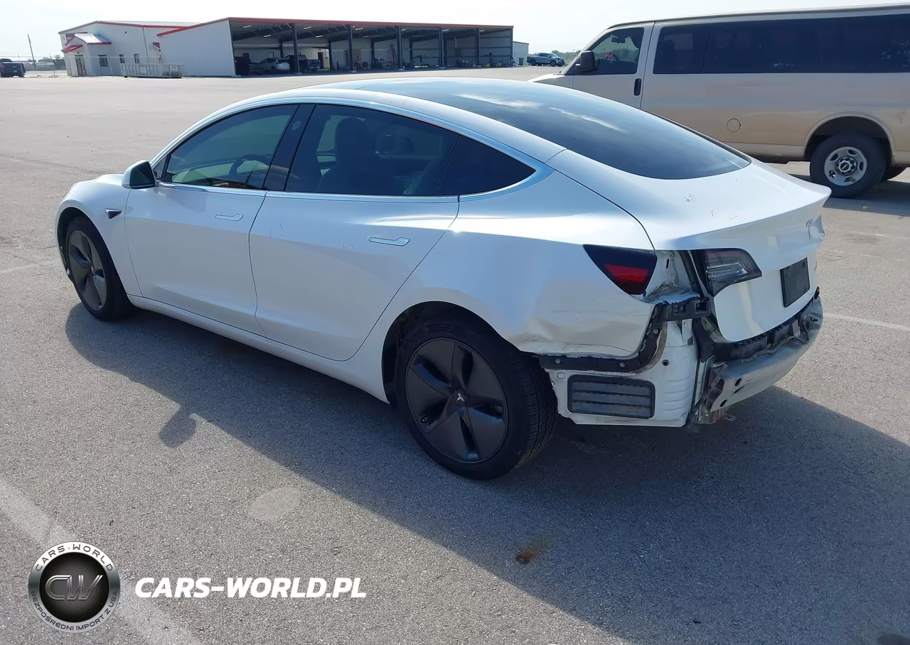 2019 Tesla Model 3 VIN:5YJ3E1EB8KF494448 - 3