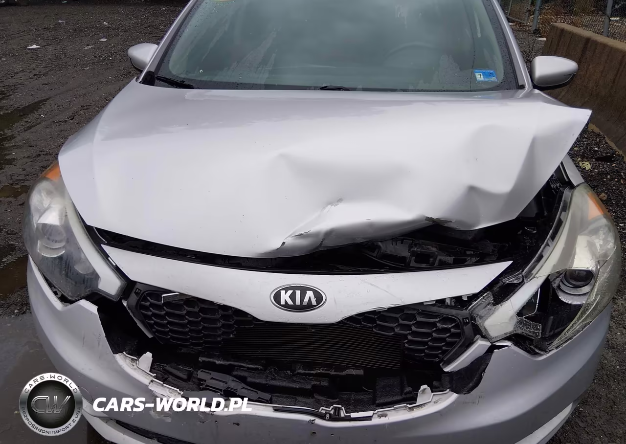 2015 Kia Forte Lx VIN:KNAFK4A63F5394097 - 10