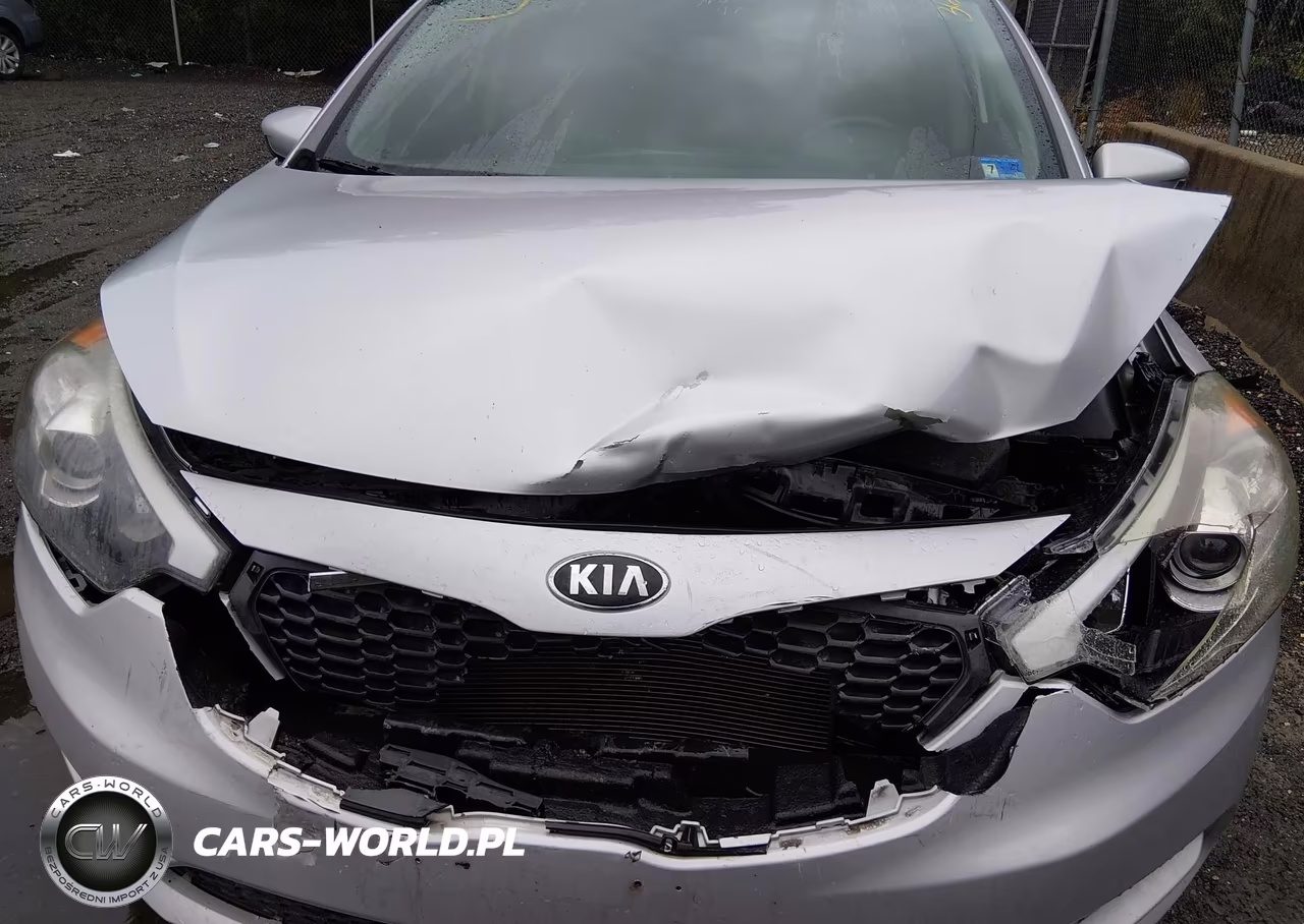 2015 Kia Forte Lx VIN:KNAFK4A63F5394097 - 6
