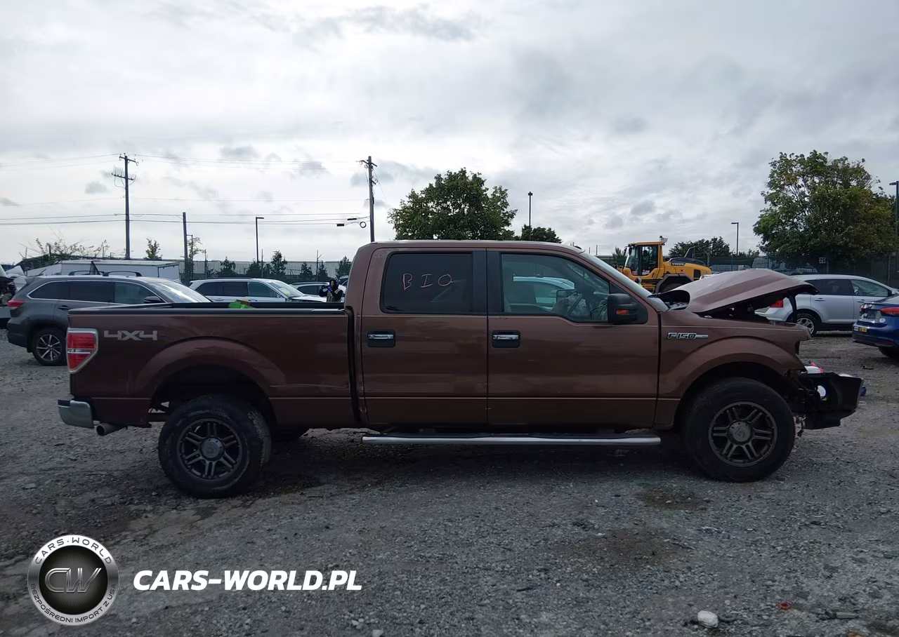 2011 Ford F-150 Xlt VIN:1FTFW1EF4BFA10509 - 13