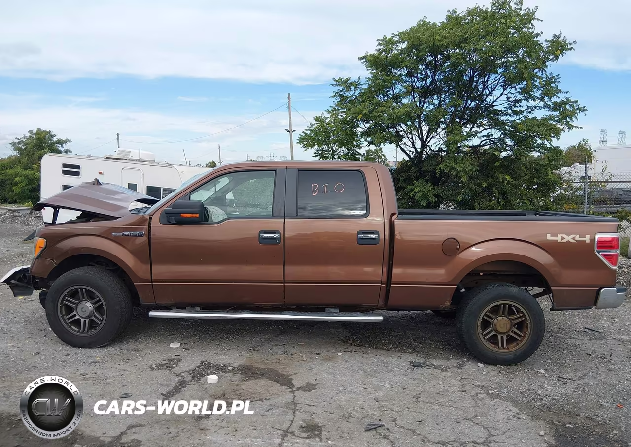 2011 Ford F-150 Xlt VIN:1FTFW1EF4BFA10509 - 14