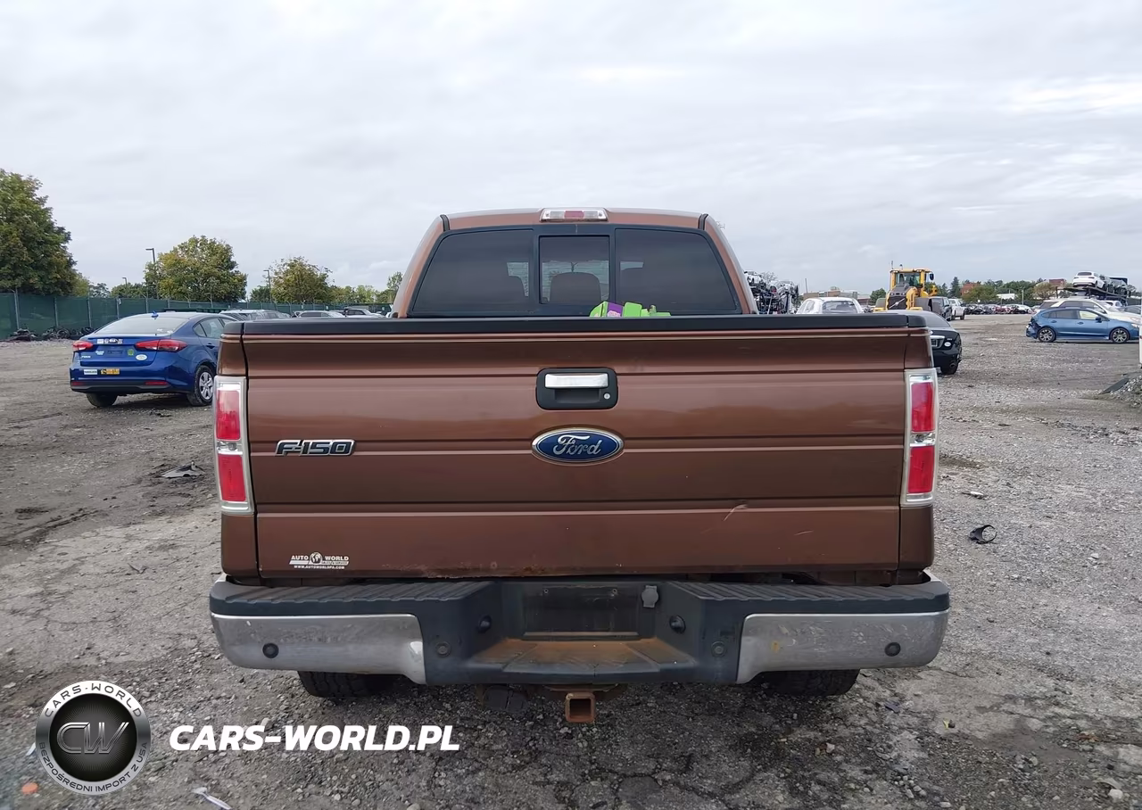 2011 Ford F-150 Xlt VIN:1FTFW1EF4BFA10509 - 16