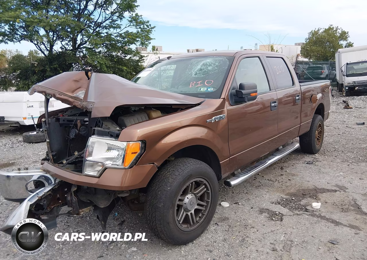 2011 Ford F-150 Xlt VIN:1FTFW1EF4BFA10509 - 2