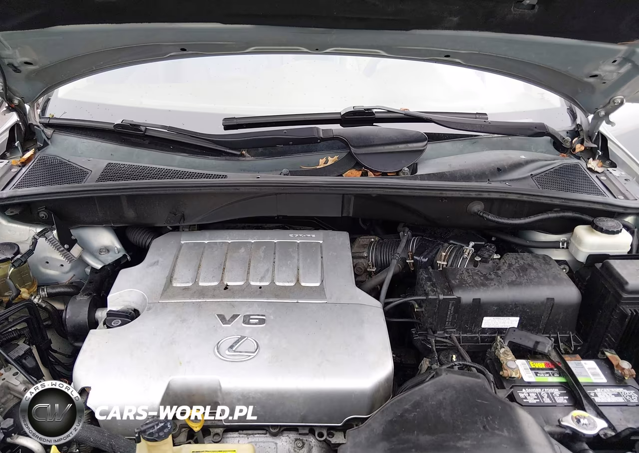 2009 Lexus Rx 350 VIN:2T2HK31U69C122604 - 10