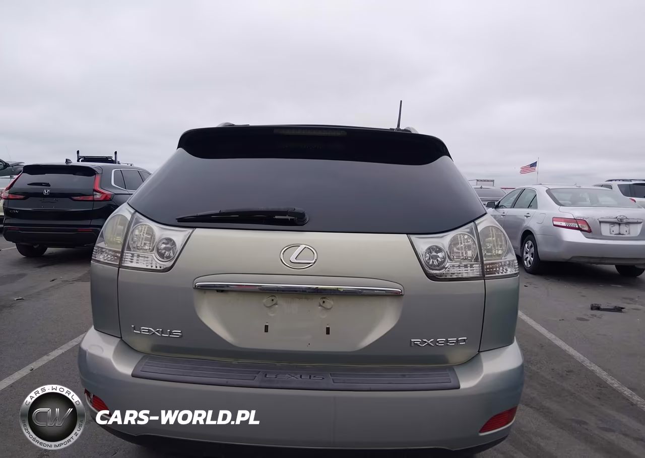 2009 Lexus Rx 350 VIN:2T2HK31U69C122604 - 16