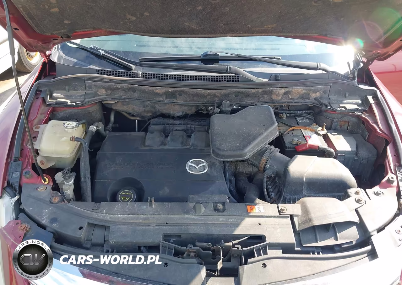 2010 Mazda Cx-9 Touring VIN:JM3TB3MA0A0234711 - 10