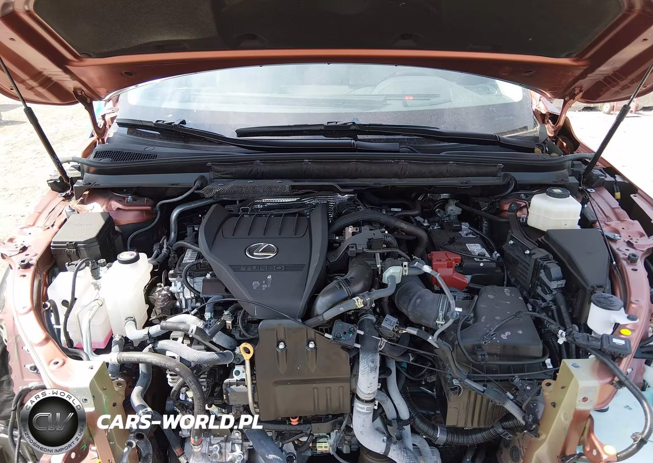2025 Lexus Rx 350 Luxury VIN:2T2BAMCA9SC121325 - 10