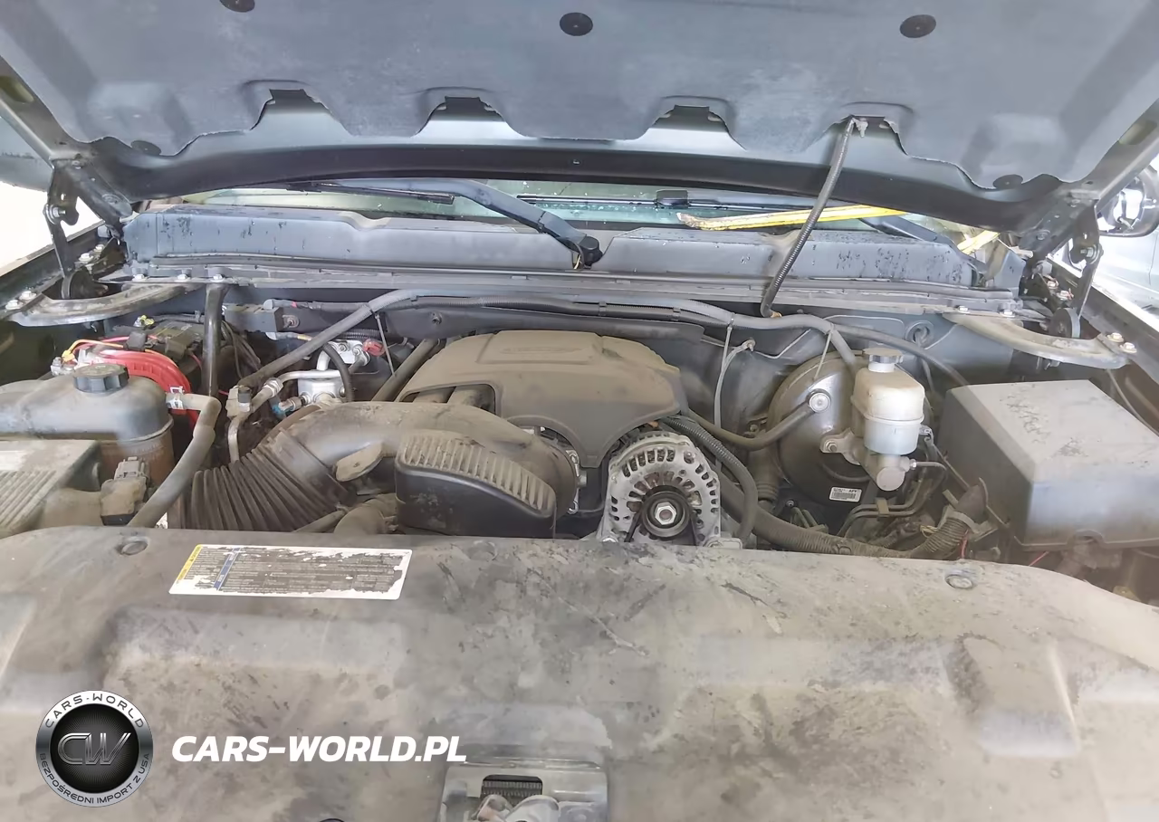 2009 Chevrolet Silverado 1500 Lt VIN:1GCEC29039Z166162 - 10