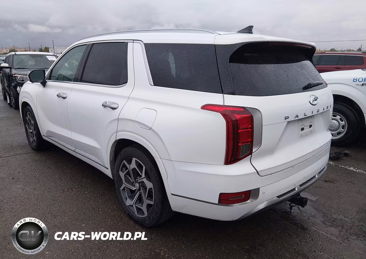 2022 Hyundai Palisade Calligraphy VIN:KM8R74HE7NU487719 - 3