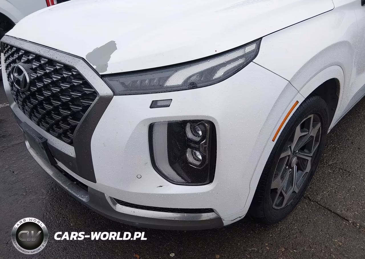 2022 Hyundai Palisade Calligraphy VIN:KM8R74HE7NU487719 - 6