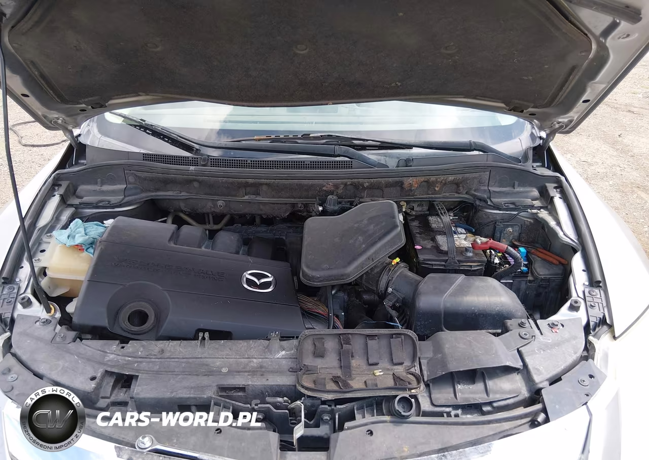 2010 Mazda Cx-9 Sport VIN:JM3TB2MV0A0226945 - 10