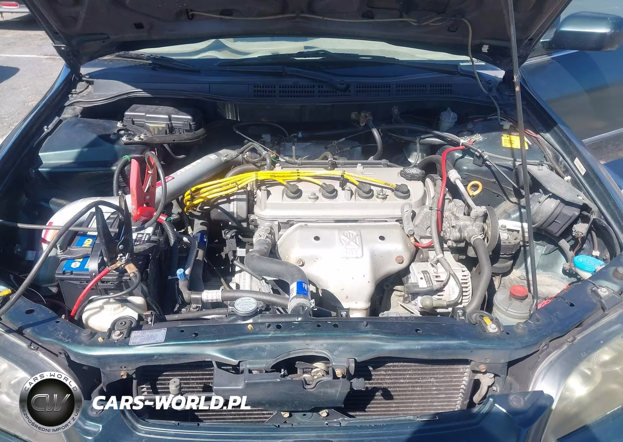 1998 Honda Accord Lx VIN:1HGCG554XWA183543 - 10