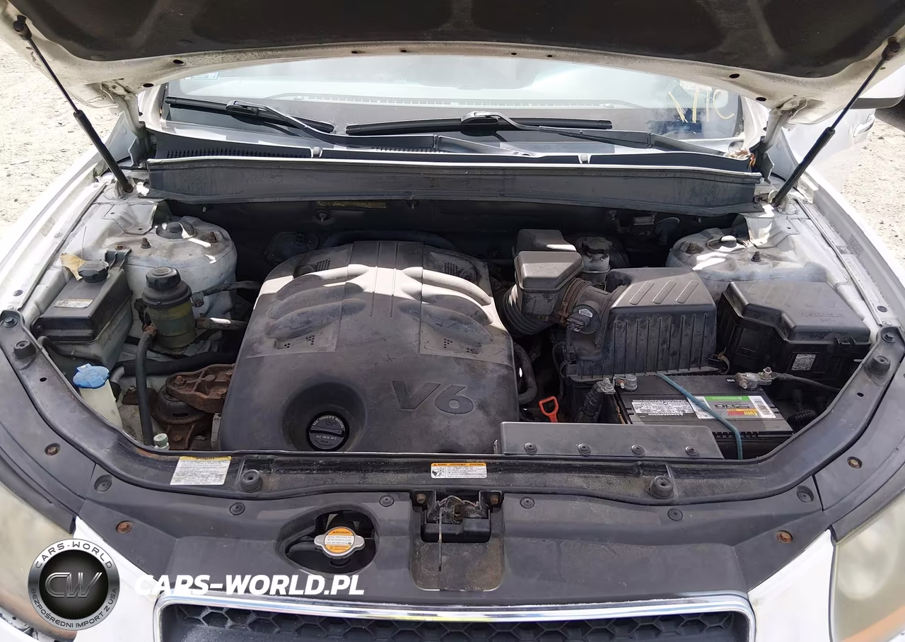 2009 Hyundai Santa Fe Limited VIN:5NMSH73E19H286701 - 10