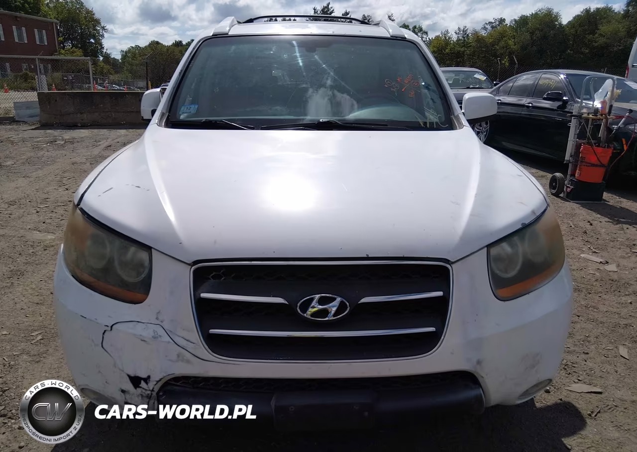 2009 Hyundai Santa Fe Limited VIN:5NMSH73E19H286701 - 12