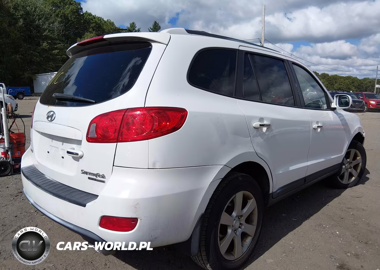 2009 Hyundai Santa Fe Limited VIN:5NMSH73E19H286701 - 4
