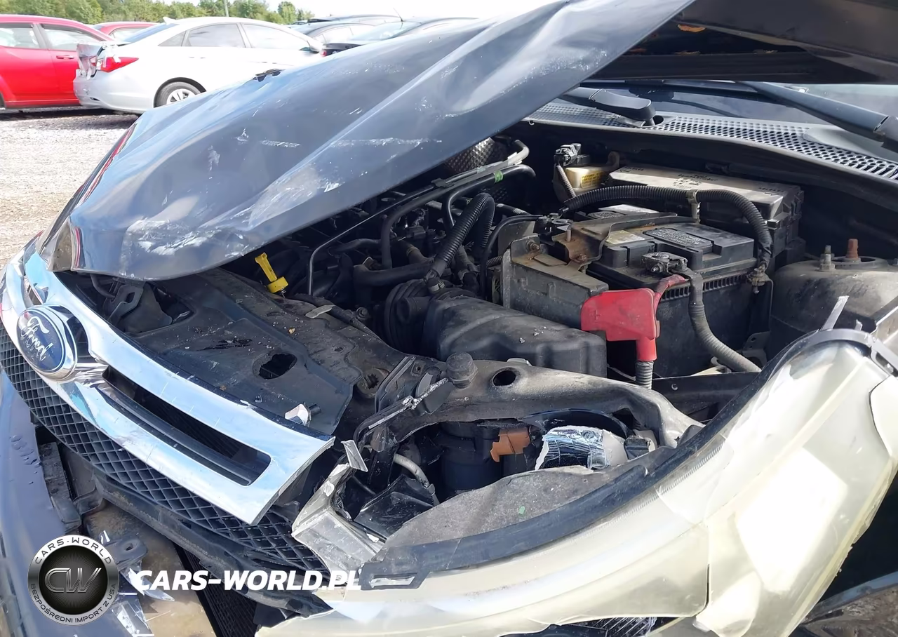 2009 Ford Focus Se VIN:1FAHP35N39W158546 - 10