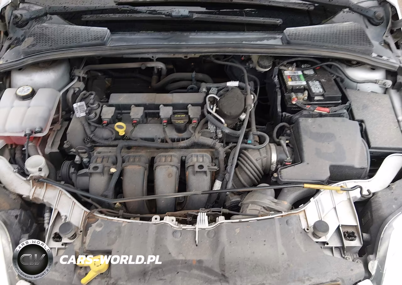 2014 Ford Focus Se VIN:1FADP3K21EL332473 - 10