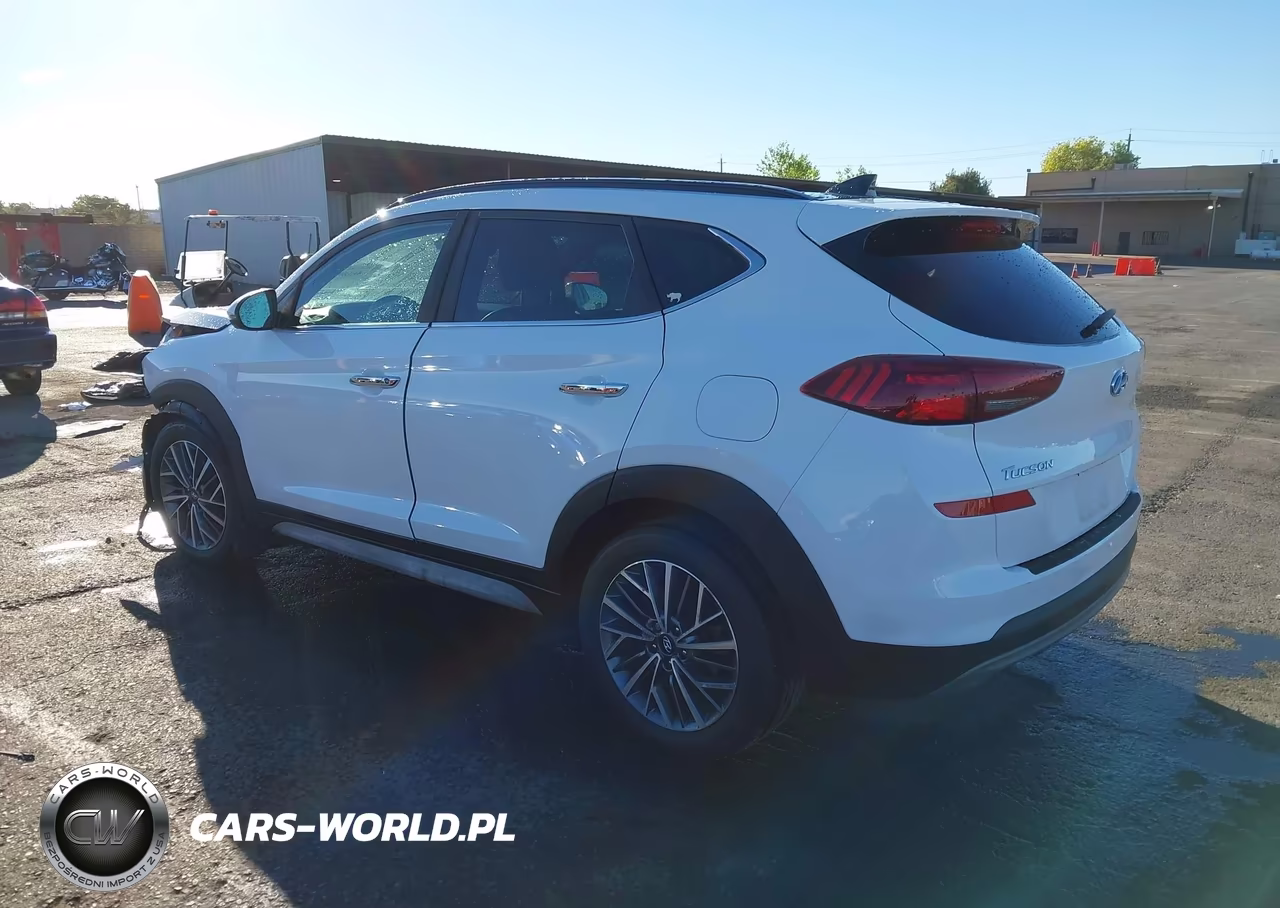 2019 Hyundai Tucson Ultimate VIN:KM8J3CAL7KU044140 - 3
