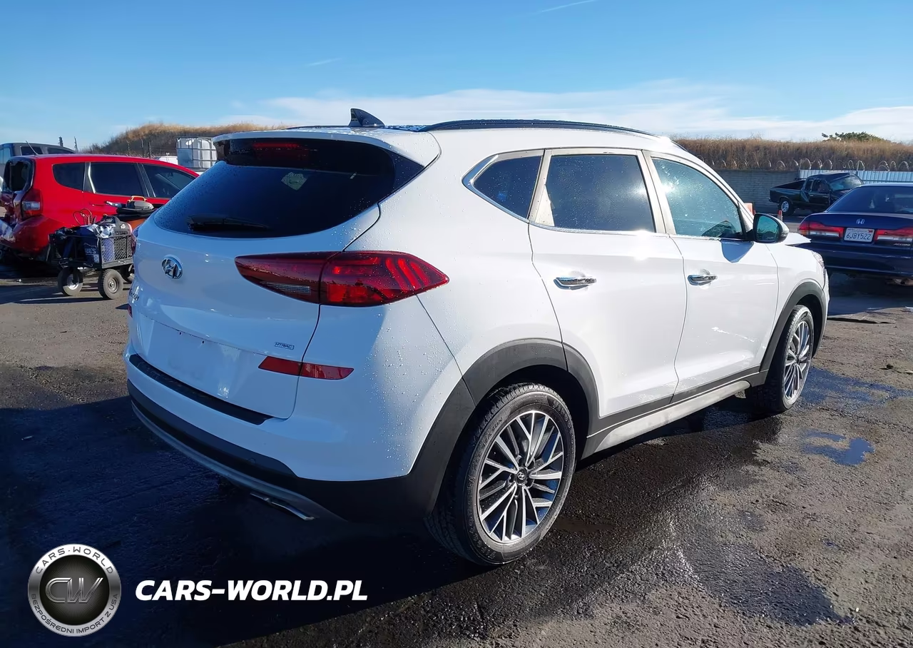2019 Hyundai Tucson Ultimate VIN:KM8J3CAL7KU044140 - 4