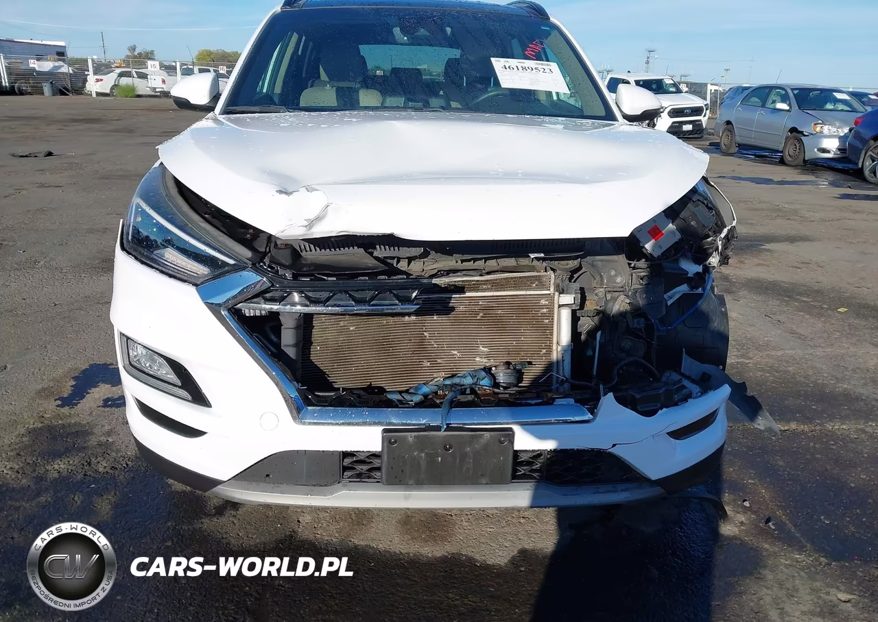 2019 Hyundai Tucson Ultimate VIN:KM8J3CAL7KU044140 - 6