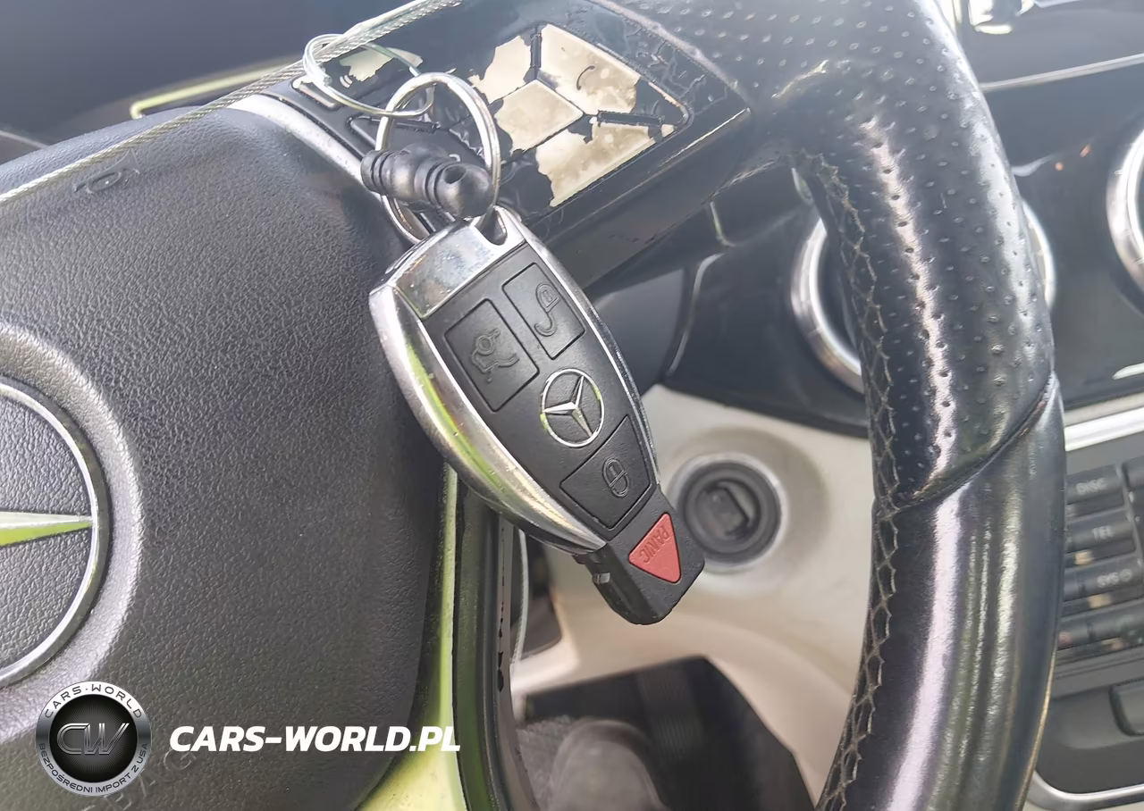 2014 Mercedes-Benz Cla 250 VIN:WDDSJ4EB9EN137526 - 11