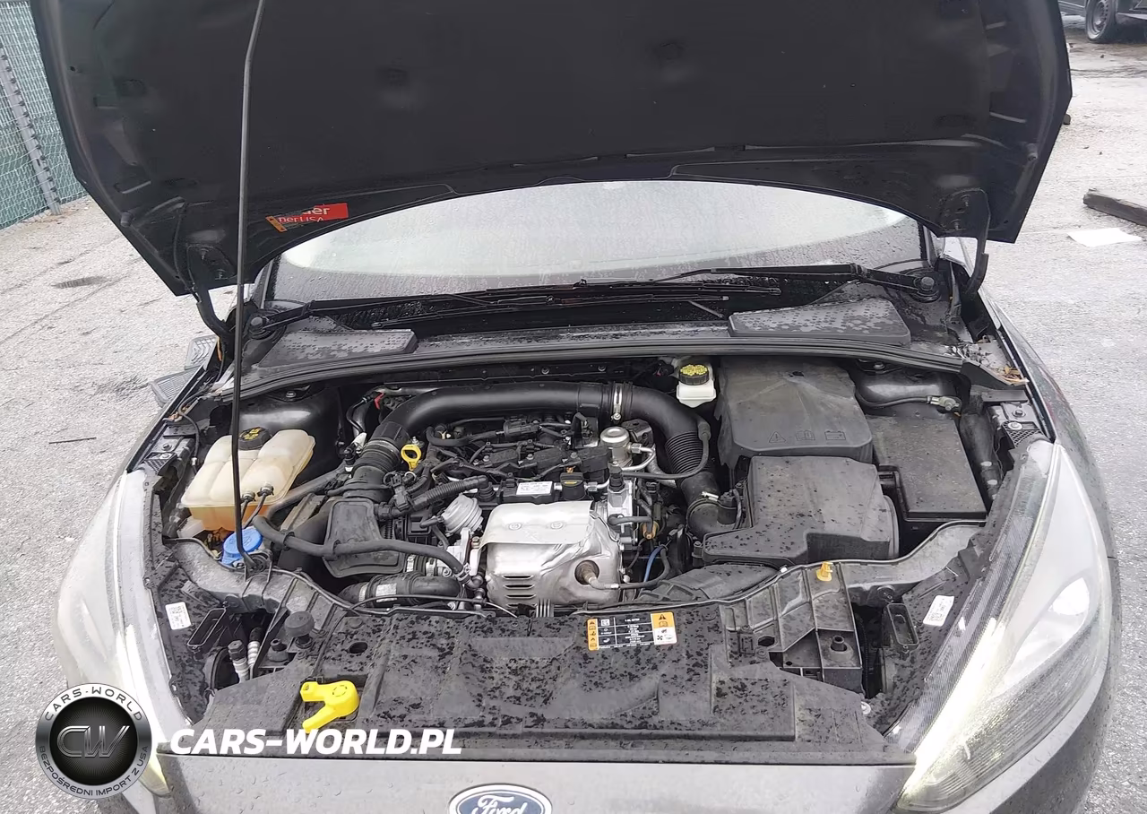 2017 Ford Focus Se VIN:1FADP3FE1HL275927 - 10