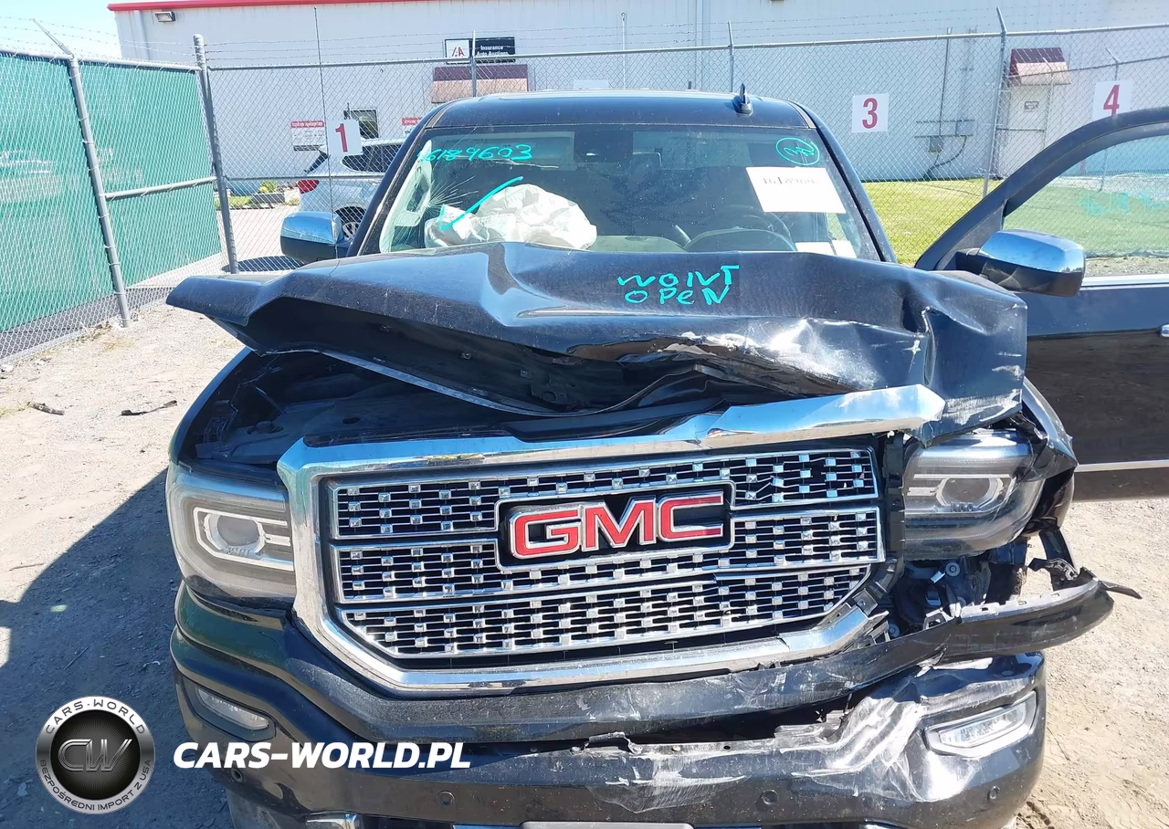 2017 GMC Sierra 1500 Denali VIN:3GTU2PEJ0HG268169 - 10