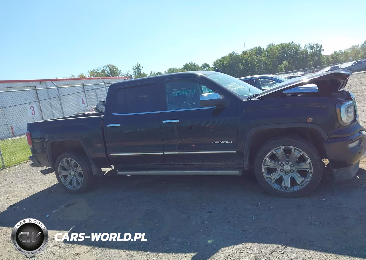 2017 GMC Sierra 1500 Denali VIN:3GTU2PEJ0HG268169 - 13