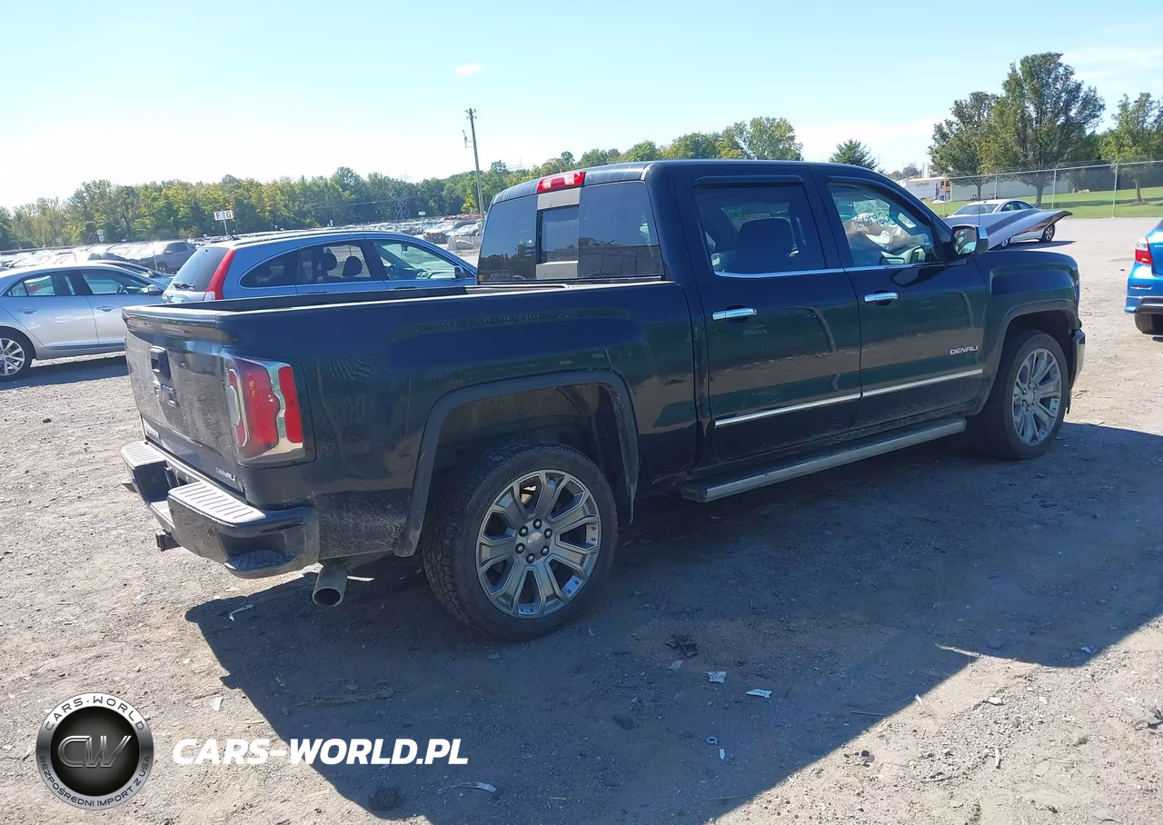 2017 GMC Sierra 1500 Denali VIN:3GTU2PEJ0HG268169 - 4