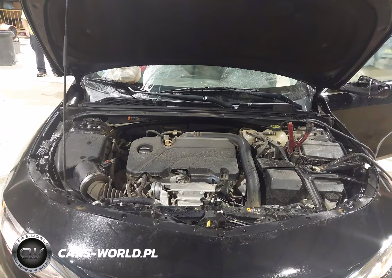 2019 Chevrolet Malibu Lt VIN:1G1ZD5ST0KF170027 - 10