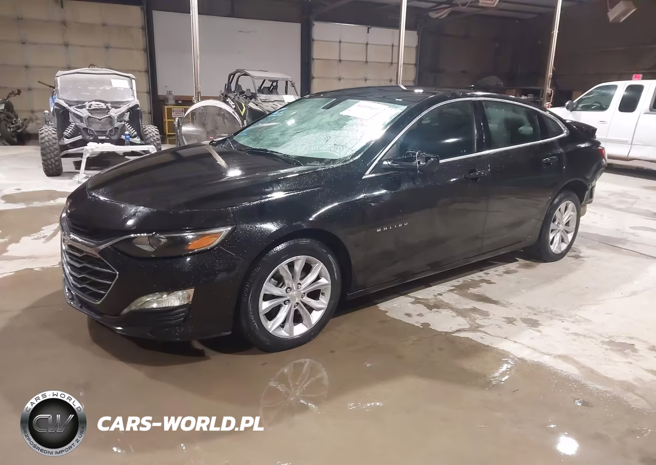 2019 Chevrolet Malibu Lt VIN:1G1ZD5ST0KF170027 - 2