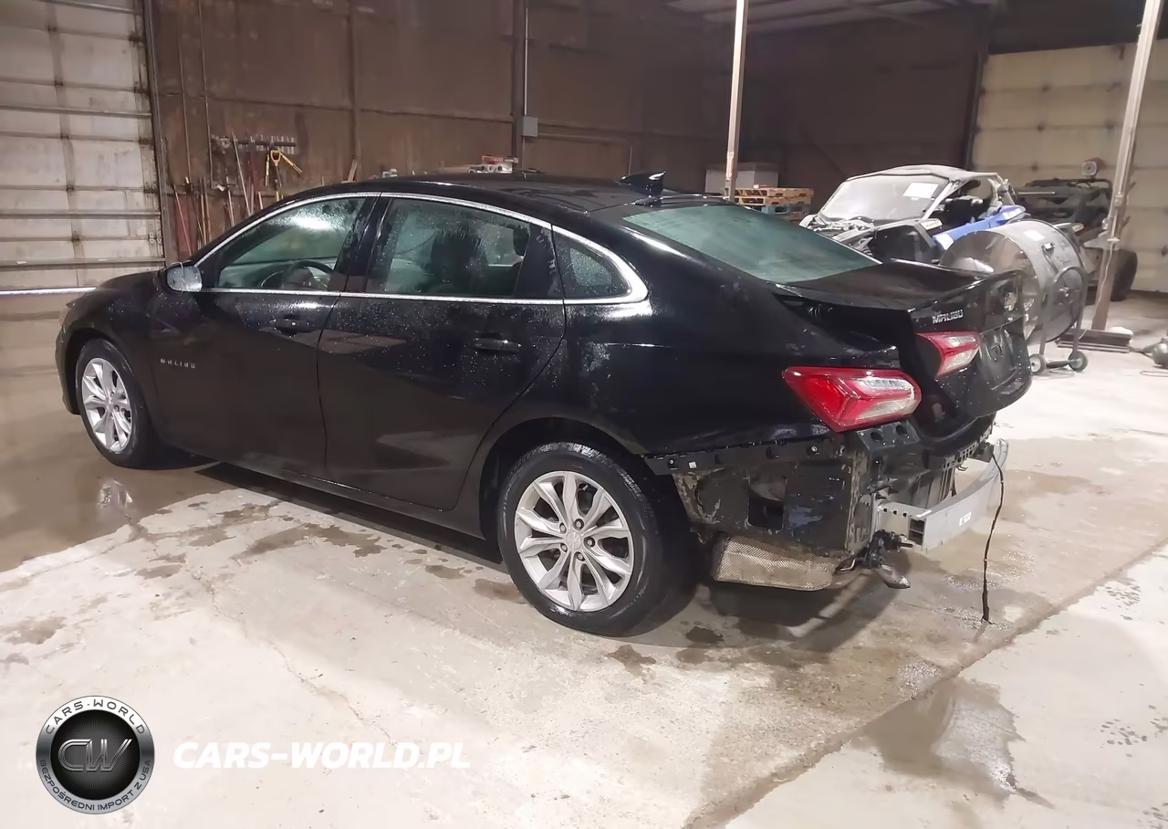 2019 Chevrolet Malibu Lt VIN:1G1ZD5ST0KF170027 - 3
