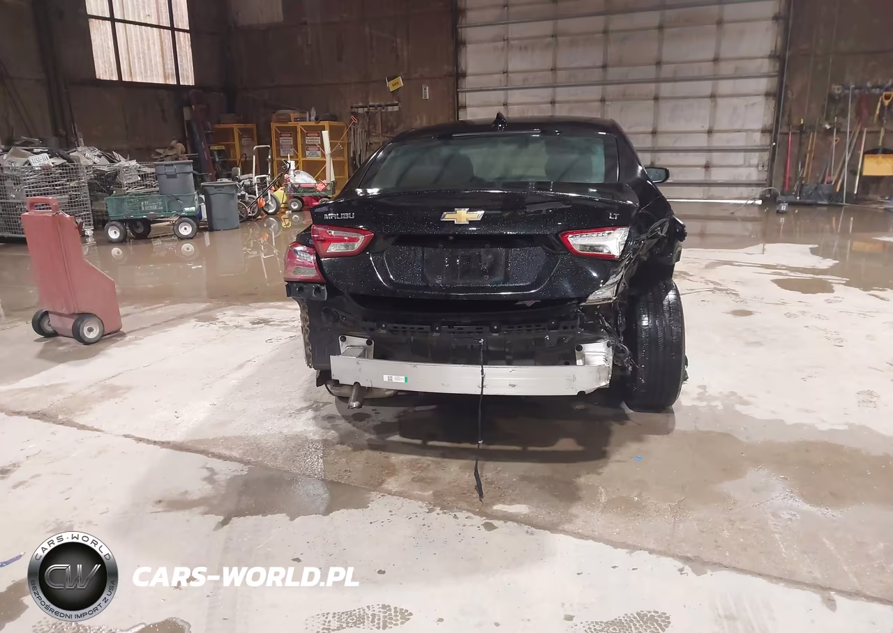 2019 Chevrolet Malibu Lt VIN:1G1ZD5ST0KF170027 - 6