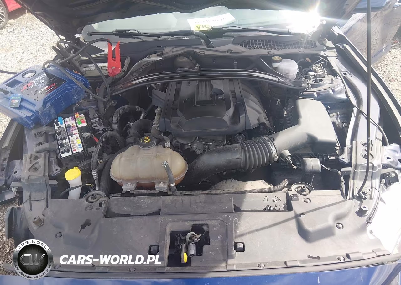 2019 Ford Mustang Ecoboost VIN:1FA6P8TH7K5174293 - 10