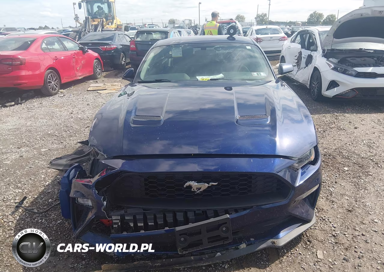 2019 Ford Mustang Ecoboost VIN:1FA6P8TH7K5174293 - 12