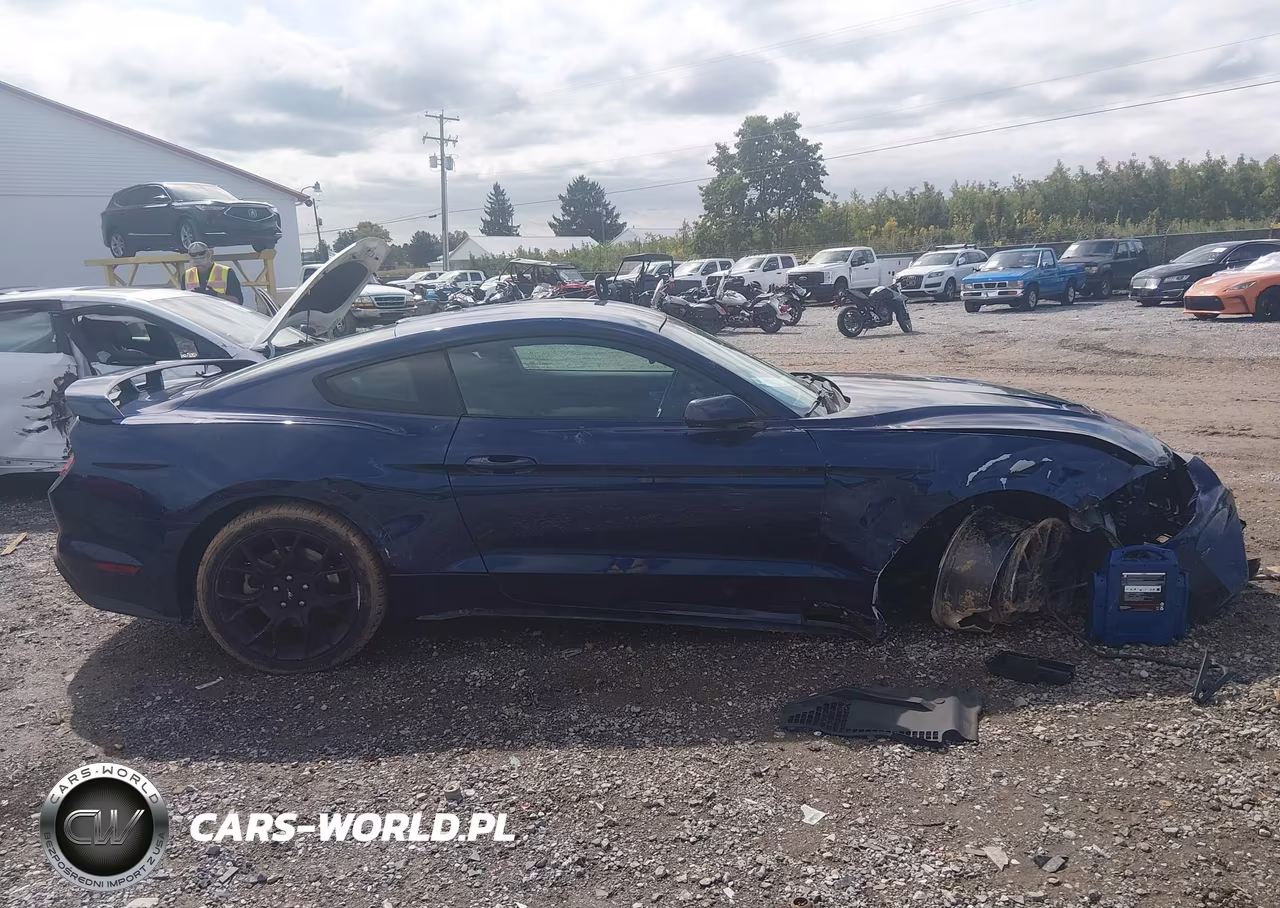 2019 Ford Mustang Ecoboost VIN:1FA6P8TH7K5174293 - 13