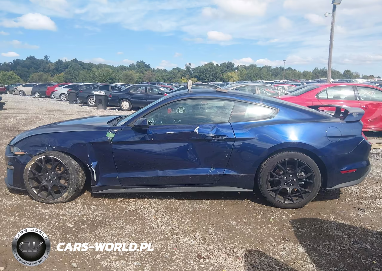 2019 Ford Mustang Ecoboost VIN:1FA6P8TH7K5174293 - 14