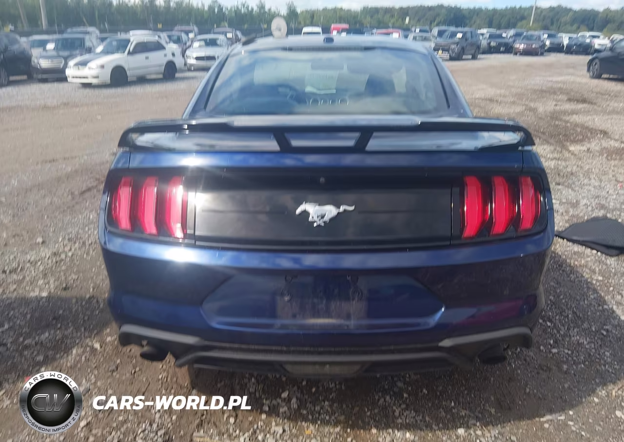 2019 Ford Mustang Ecoboost VIN:1FA6P8TH7K5174293 - 16