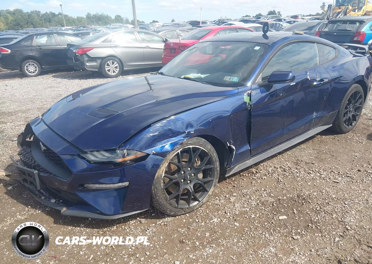 2019 Ford Mustang Ecoboost VIN:1FA6P8TH7K5174293 - 2