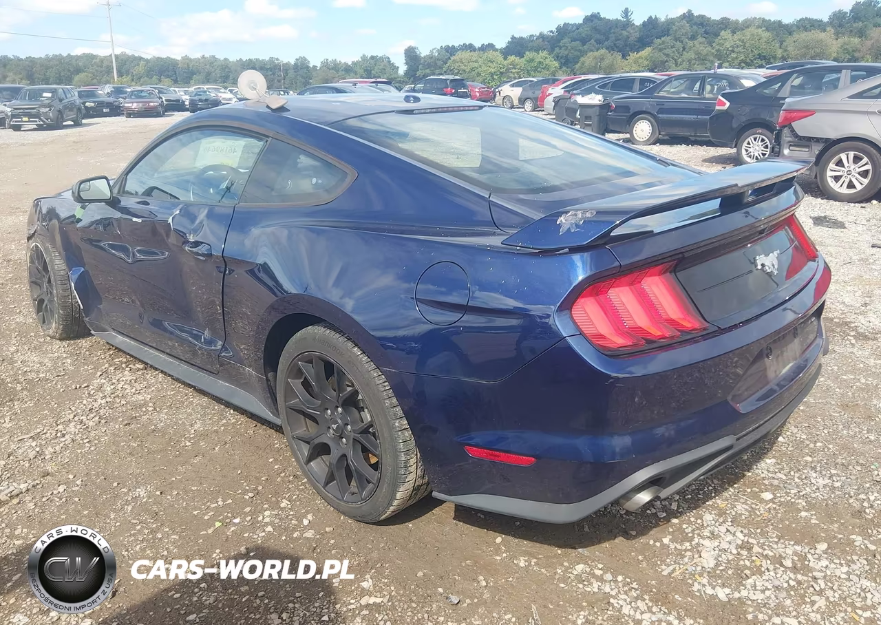 2019 Ford Mustang Ecoboost VIN:1FA6P8TH7K5174293 - 3