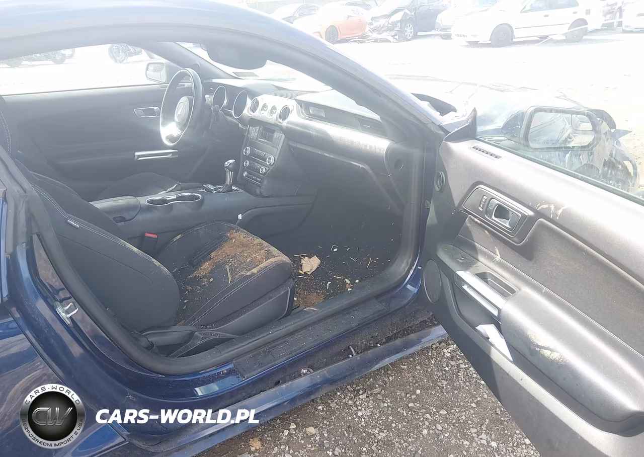 2019 Ford Mustang Ecoboost VIN:1FA6P8TH7K5174293 - 5